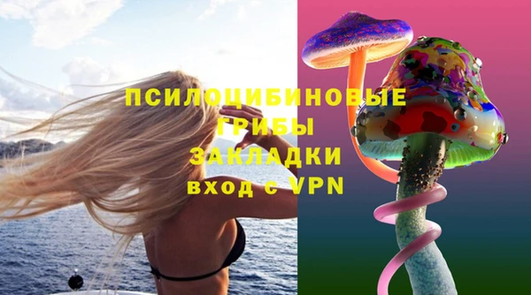 СК Липки