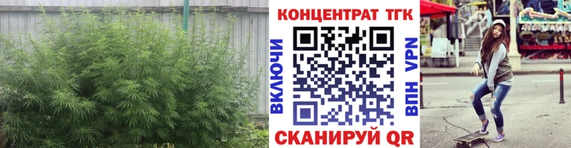 Дистиллят ТГК концентрат  Купить закладки  Приморск 