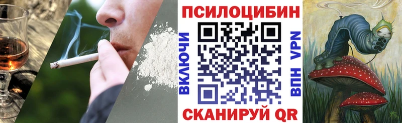 Галлюциногенные грибы GOLDEN TEACHER Приморск